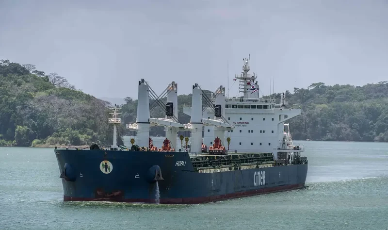 HOPA I Bulk Carrier IMO 9684213