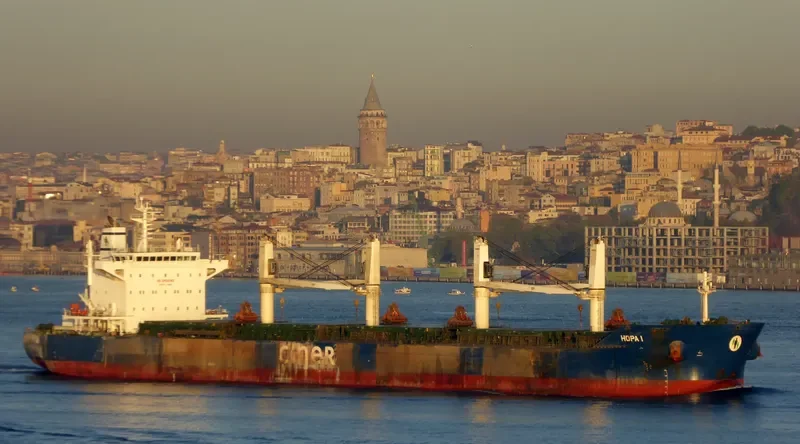HOPA I Bulk Carrier IMO 9684213 photo 2
