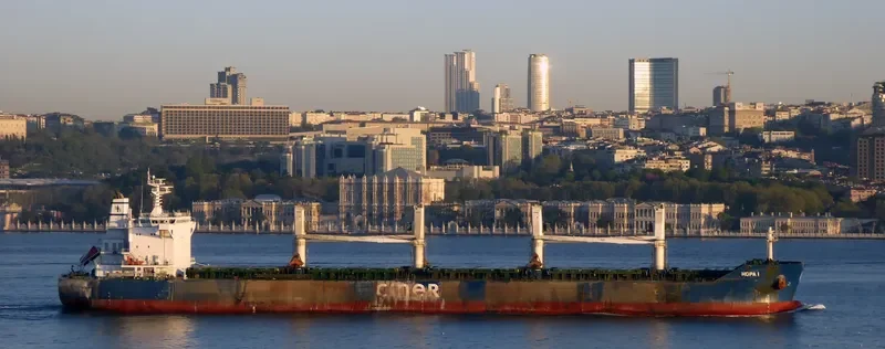 HOPA I Bulk Carrier IMO 9684213 photo 3