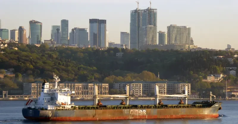 HOPA I Bulk Carrier IMO 9684213 photo 4