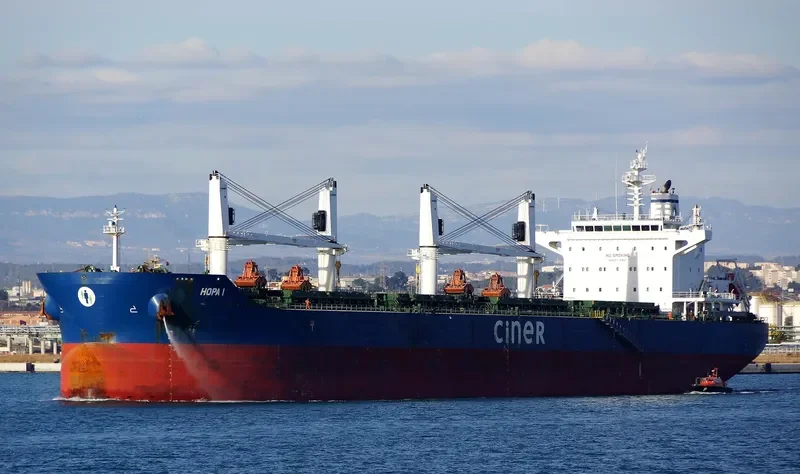 HOPA I Bulk Carrier IMO 9684213 photo 5