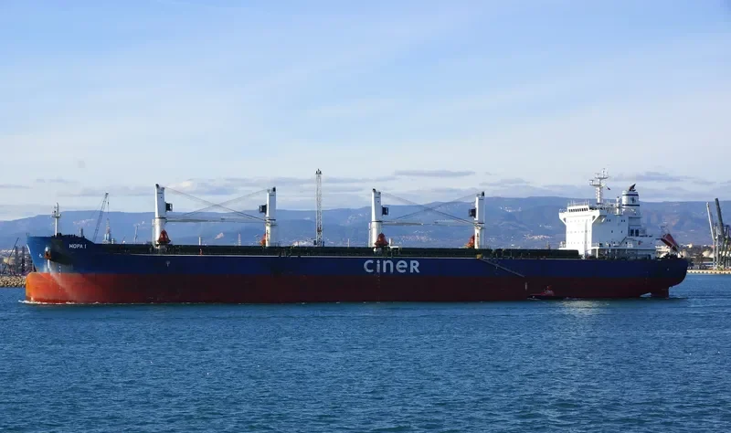 HOPA I Bulk Carrier IMO 9684213 photo 6