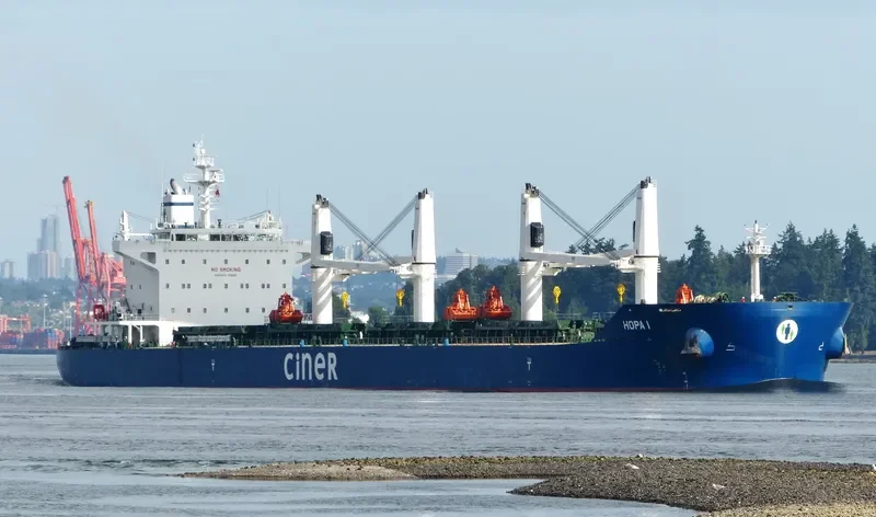 HOPA I Bulk Carrier IMO 9684213 photo 8