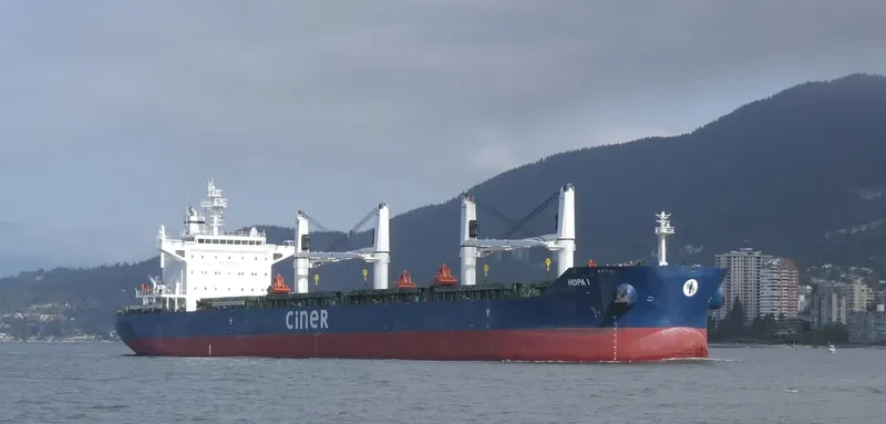 HOPA I Bulk Carrier IMO 9684213 photo 9