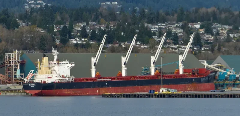 STAR MISTRAL Bulk Carrier IMO 9684225 photo 2