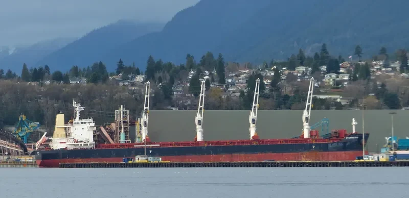STAR MISTRAL Bulk Carrier IMO 9684225 photo 3