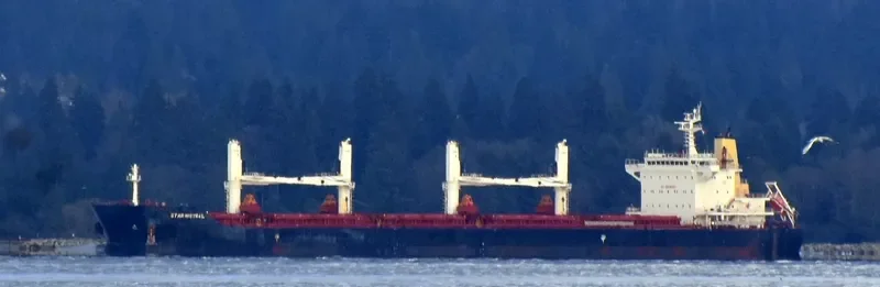 STAR MISTRAL Bulk Carrier IMO 9684225 photo 4
