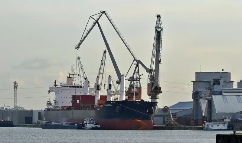 STAR MISTRAL Bulk Carrier IMO 9684225 photo 8