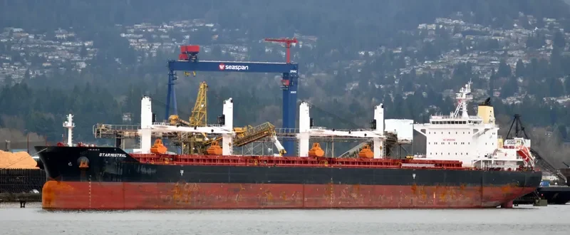 STAR MISTRAL Bulk Carrier IMO 9684225 photo 9
