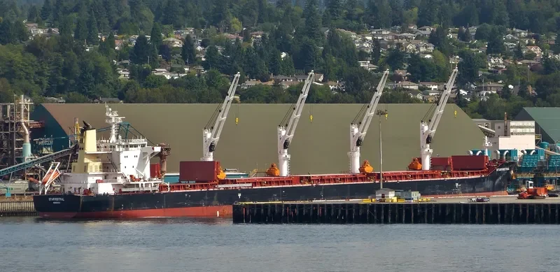 STAR MISTRAL Bulk Carrier IMO 9684225 photo 10