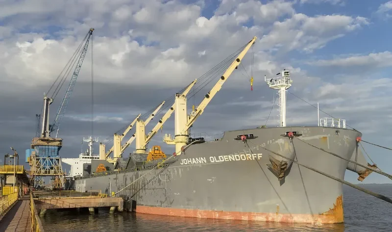 CL DAISY Bulk Carrier IMO 9684471