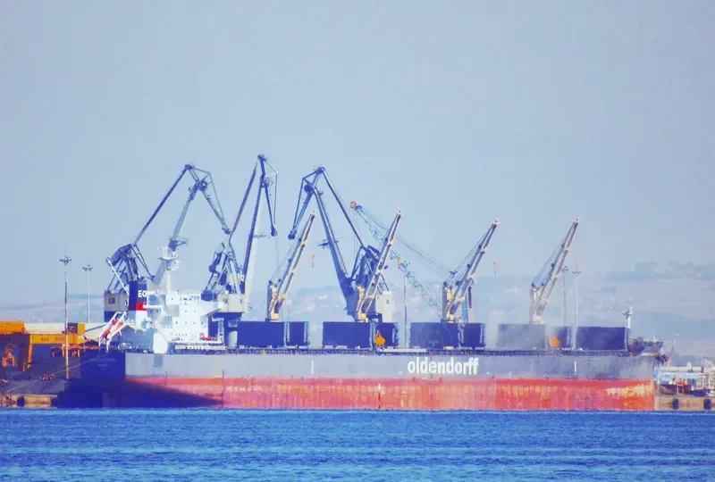 CL DAISY Bulk Carrier IMO 9684471 photo 5