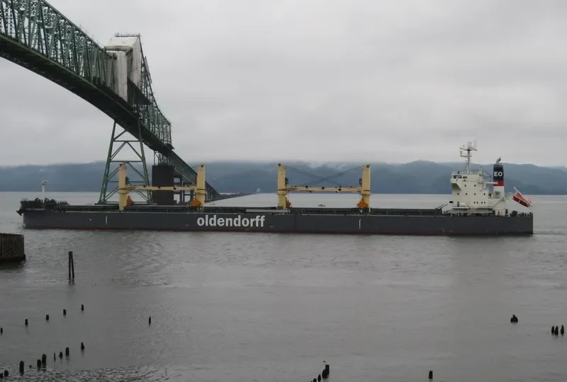 CL DAISY Bulk Carrier IMO 9684471 photo 10