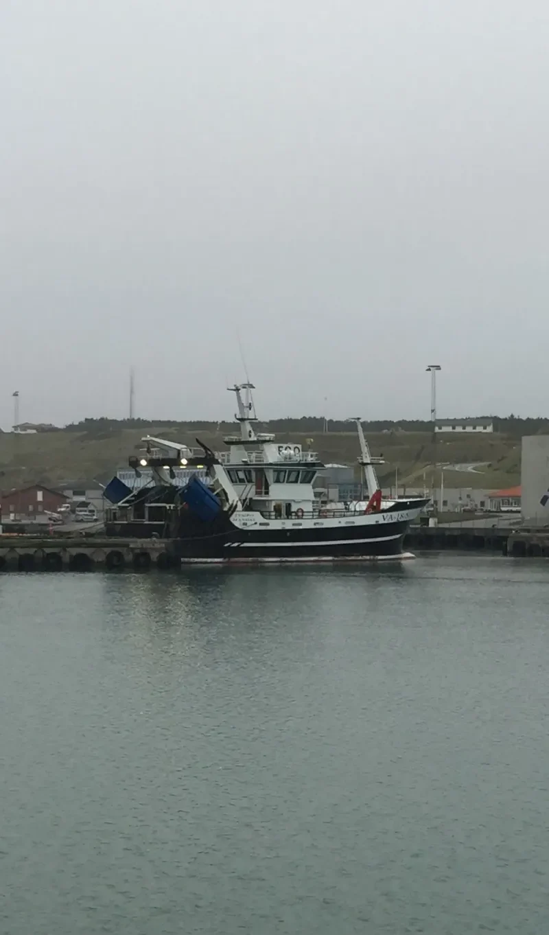 TEMPO General Cargo IMO 9684512 photo 2