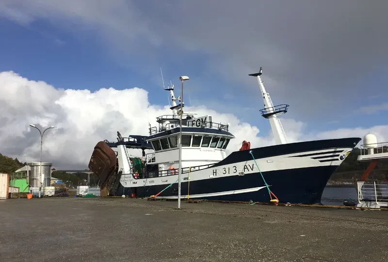 CAPRICE General Cargo IMO 9684524 photo 8