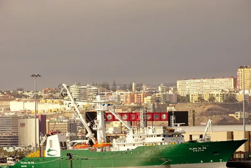 PLAYA DE RIS General Cargo IMO 9684548 photo 4