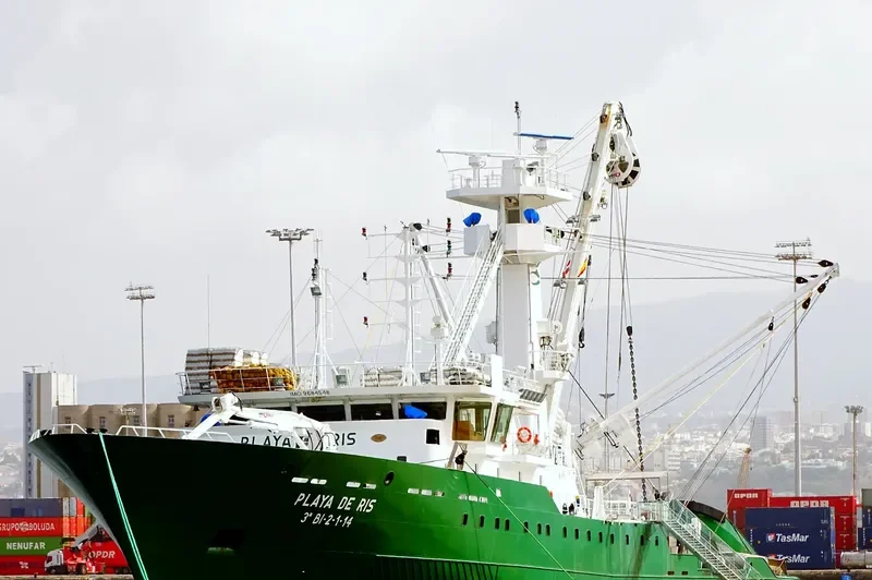 PLAYA DE RIS General Cargo IMO 9684548 photo 6