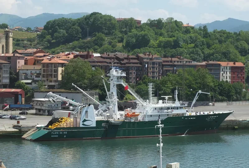 PLAYA DE RIS General Cargo IMO 9684548 photo 8