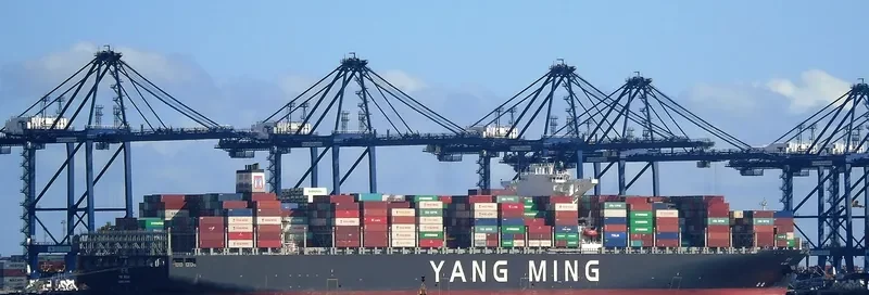 YM WISH Container Ship IMO 9684641 photo 5