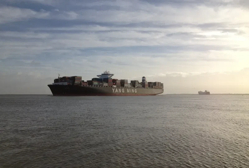 YM WISH Container Ship IMO 9684641 photo 6