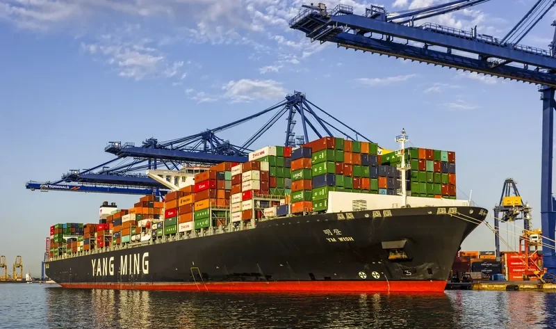 YM WISH Container Ship IMO 9684641 photo 9