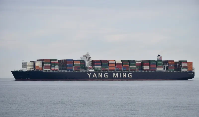 YM WISH Container Ship IMO 9684641 photo 10