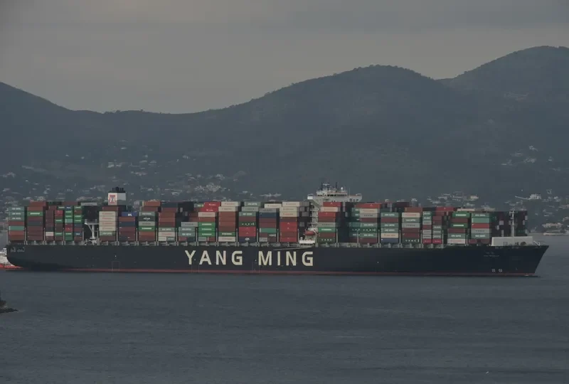 YM WORLD Container Ship IMO 9684653