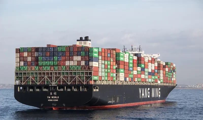 YM WORLD Container Ship IMO 9684653 photo 2