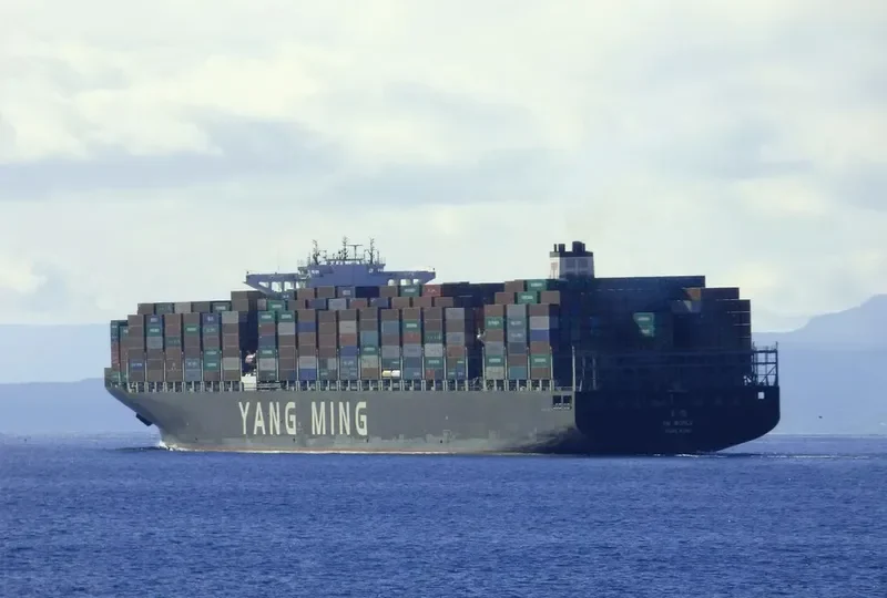 YM WORLD Container Ship IMO 9684653 photo 4
