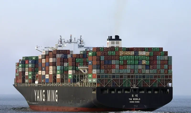 YM WORLD Container Ship IMO 9684653 photo 5