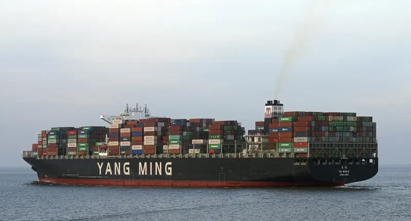 YM WORLD Container Ship IMO 9684653 photo 6