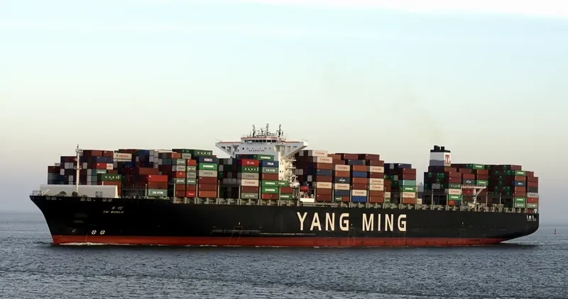 YM WORLD Container Ship IMO 9684653 photo 7