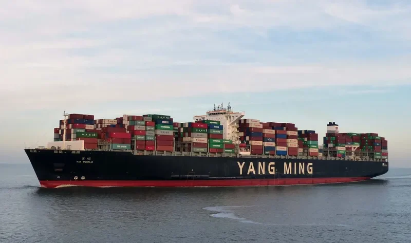 YM WORLD Container Ship IMO 9684653 photo 10