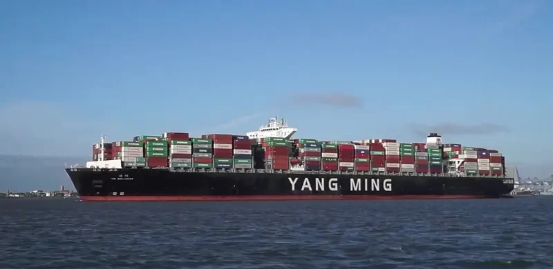 YM WELLHEAD Container Ship IMO 9684665 photo 3