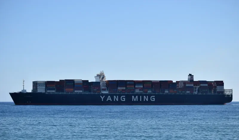 YM WONDROUS Container Ship IMO 9684677 photo 2
