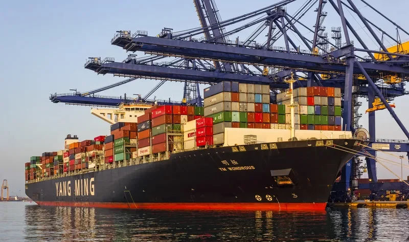 YM WONDROUS Container Ship IMO 9684677 photo 3