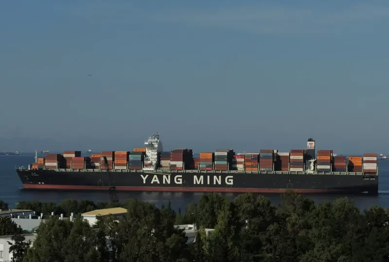 YM WINNER Container Ship IMO 9684689
