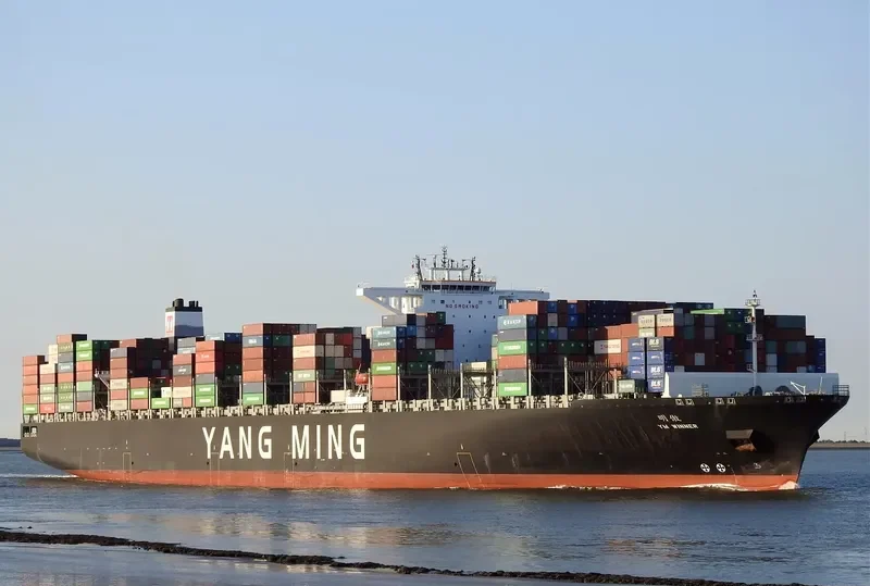 YM WINNER Container Ship IMO 9684689 photo 9