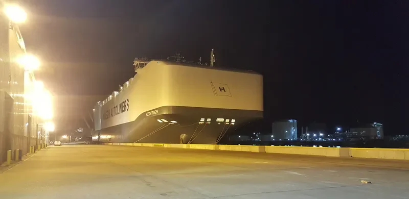 HOEGH TRIGGER General Cargo IMO 9684988 photo 10