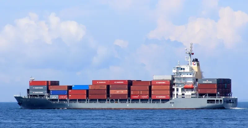 PEGASUS TERA Container Ship IMO 9685061