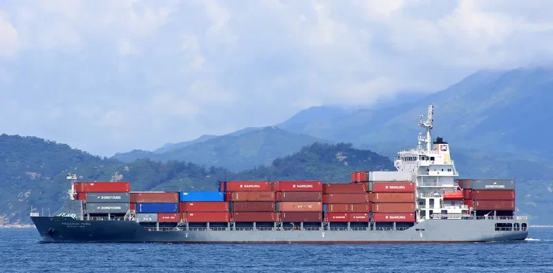 PEGASUS TERA Container Ship IMO 9685061 photo 2
