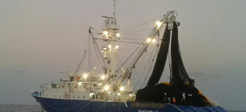 MANZANILLO General Cargo IMO 9685310