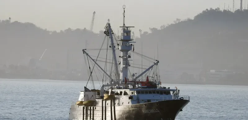 MANZANILLO General Cargo IMO 9685310 photo 3