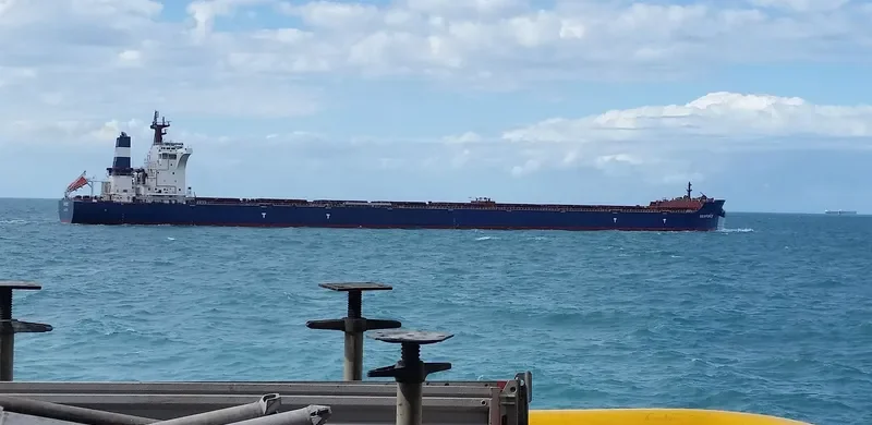 SEAFORCE Bulk Carrier IMO 9685487