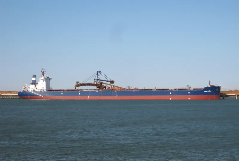 SEAFORCE Bulk Carrier IMO 9685487 photo 2