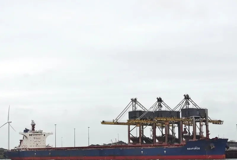 SEAFORCE Bulk Carrier IMO 9685487 photo 5