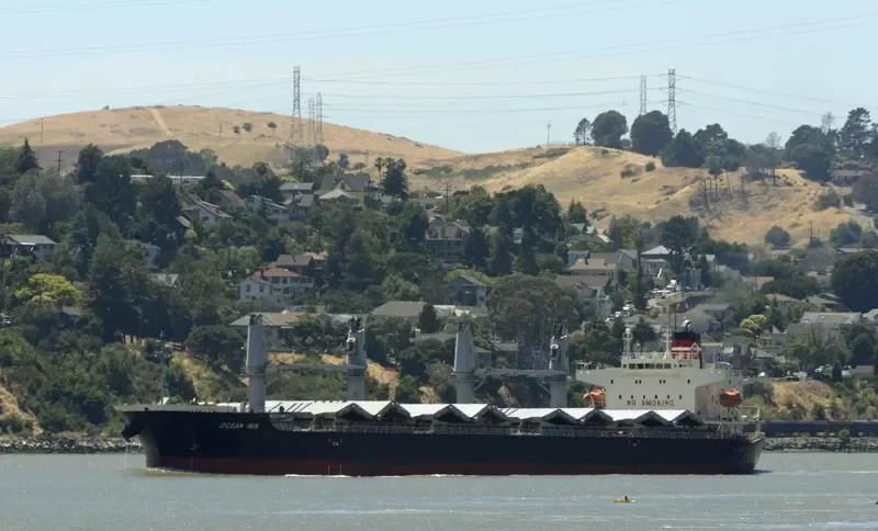 OCEAN IBIS Bulk Carrier IMO 9685619