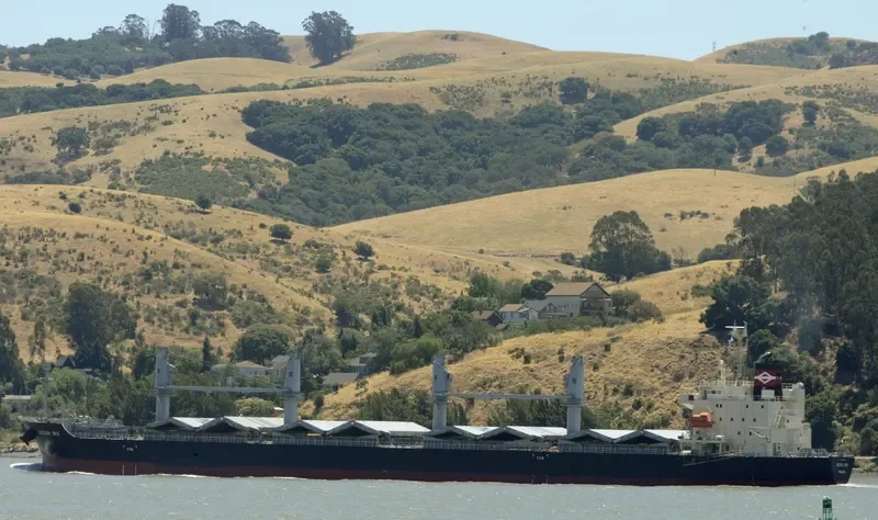 OCEAN IBIS Bulk Carrier IMO 9685619 photo 2