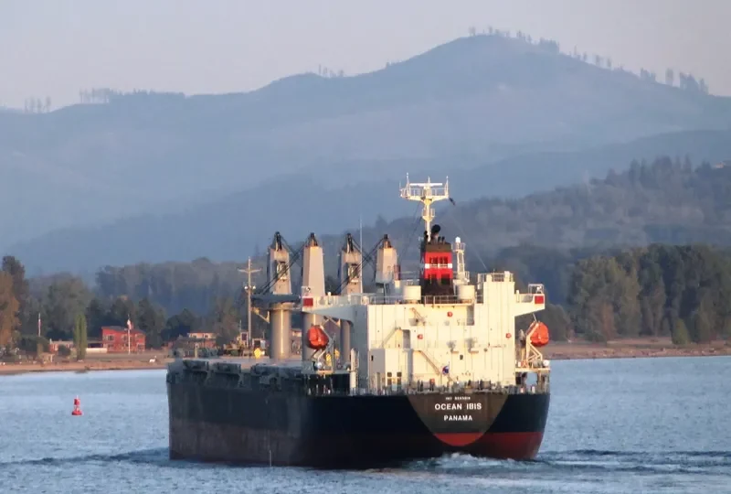 OCEAN IBIS Bulk Carrier IMO 9685619 photo 3