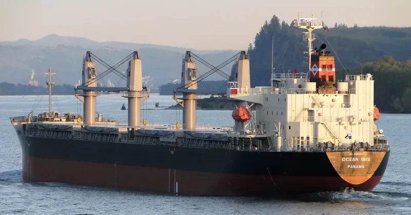 OCEAN IBIS Bulk Carrier IMO 9685619 photo 4